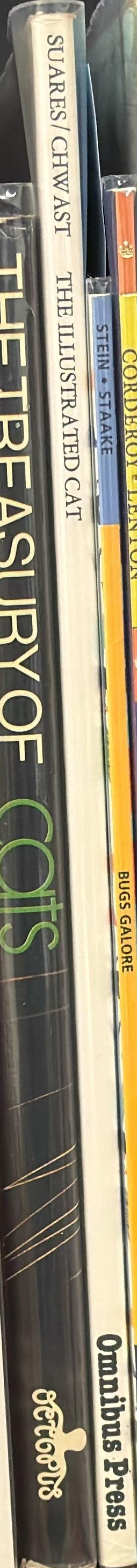 The illustrated cat spine