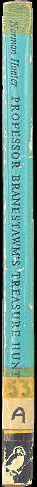 Professor Branestawm's treasure hunt spine