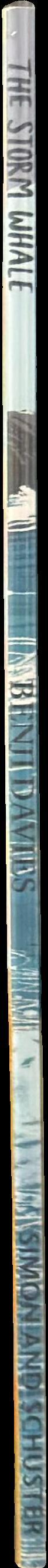 The storm whale spine