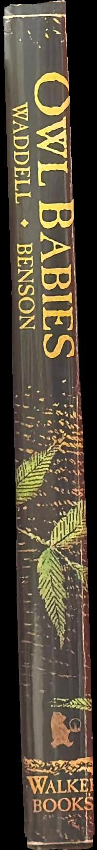 Owl babies spine