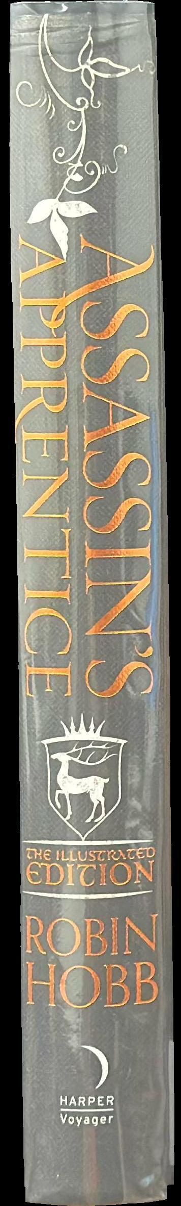 Assassin's apprentice spine