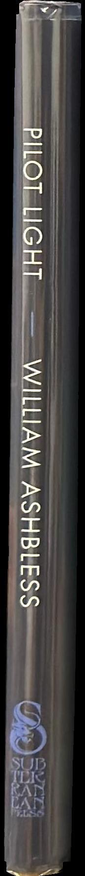 Pilot light spine