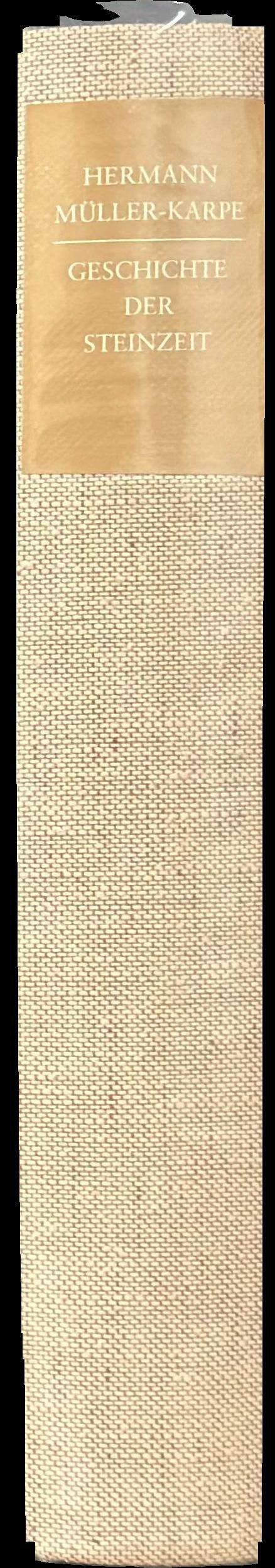 Geschichte der Steinzeit spine