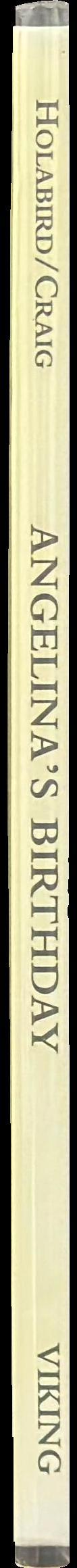 Angelina's birthday spine