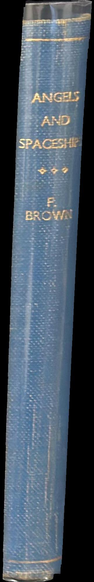 Angels and spaceships spine