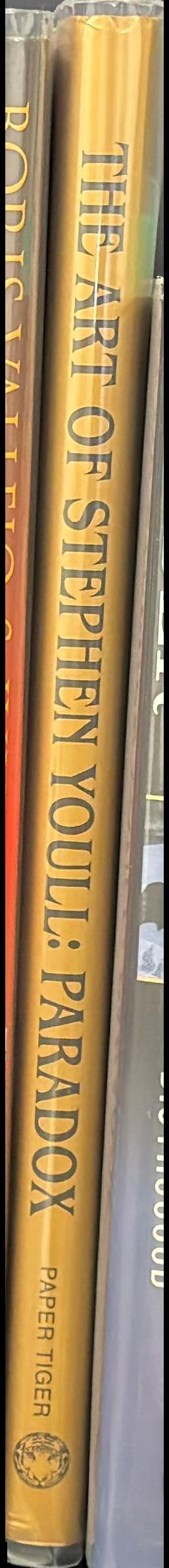 Paradox : the art of Stephen Youll spine