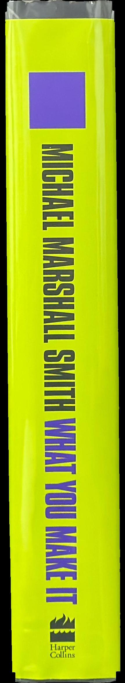 What you make it : a book of short stories spine