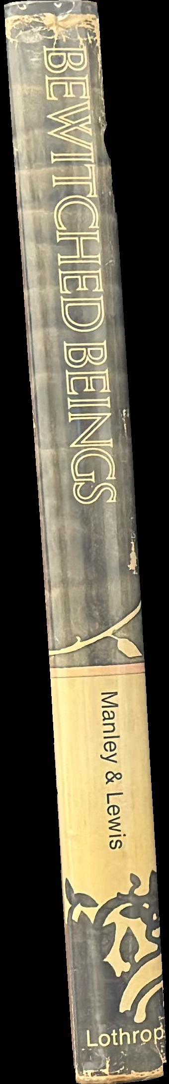 Bewitched beings : phantoms, familiars, and the possessed in stories from two centuries spine