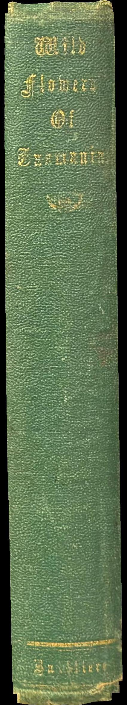 The wild flowers of Tasmania, or, Chatty rambles afloat and ashore : amidst the seaweeds, ferns, and flowering plants : with a complete list of indigenous ferns, and instructions for their cultivation / by S. Hannaford, author of "sea and river side rambles" notes on the flora and fauna of Victoria ; illustrated. spine