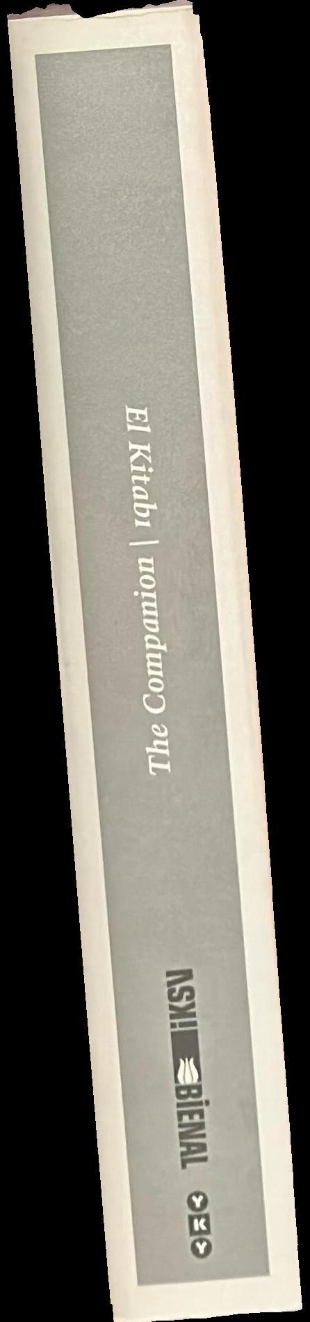 Untitled (12th Istanbul Biennial), 2011 : the companion spine