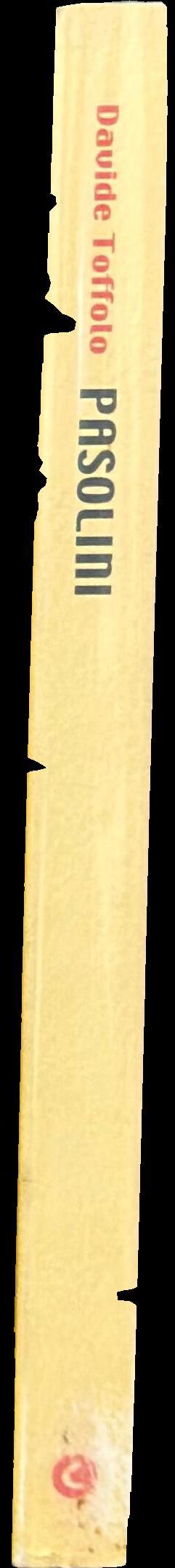 Pasolini spine