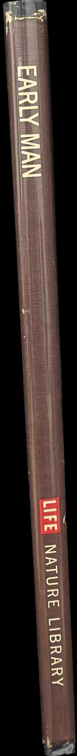 Early man spine