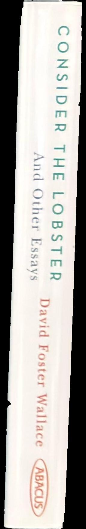 Consider the lobster and other essays spine