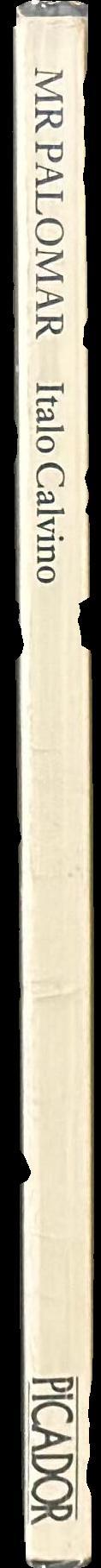 Mr Palomar spine