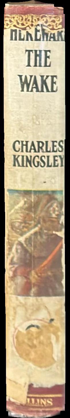 Hereward the wake spine