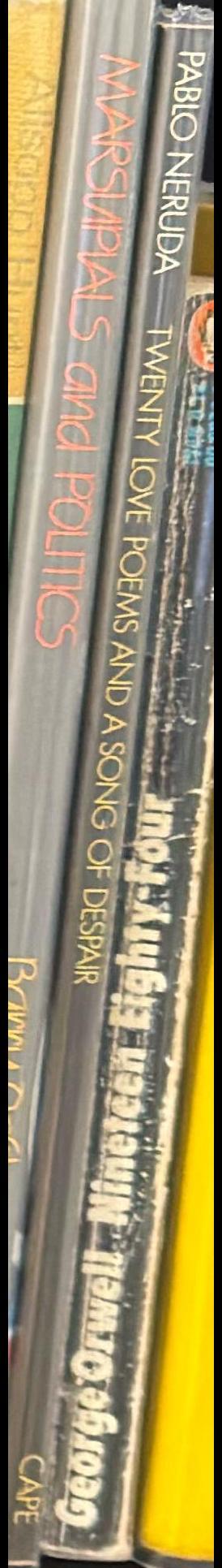 Nineteen Eighty-Four spine