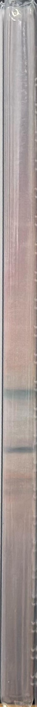 Borderline series spine