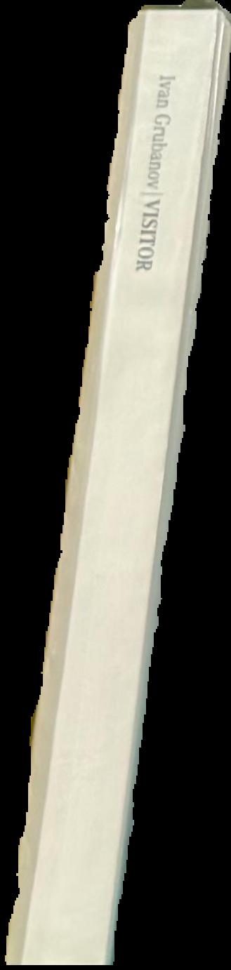 Ivan Grubanov : visitor spine