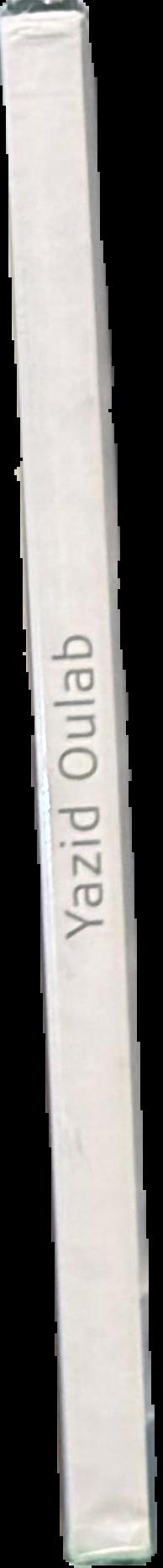 Yazid Oulab spine
