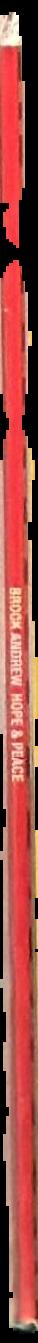 Brook Andrew : hope & peace spine