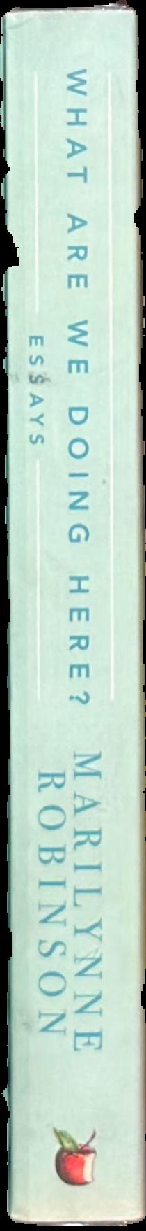 What are we doing here? : essays spine