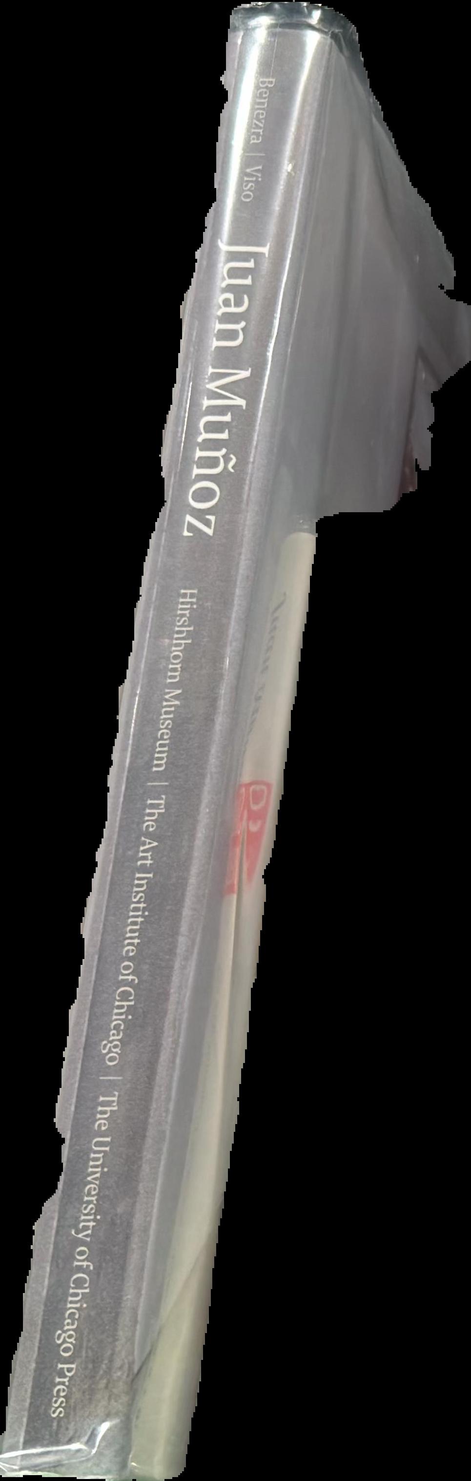 Juan Munoz spine