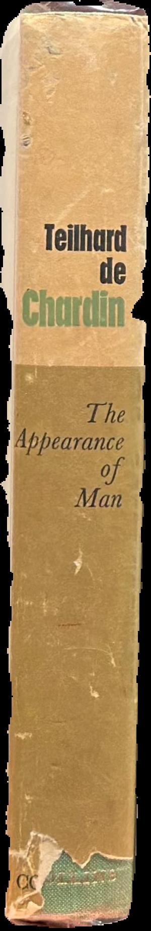 The appearance of man spine