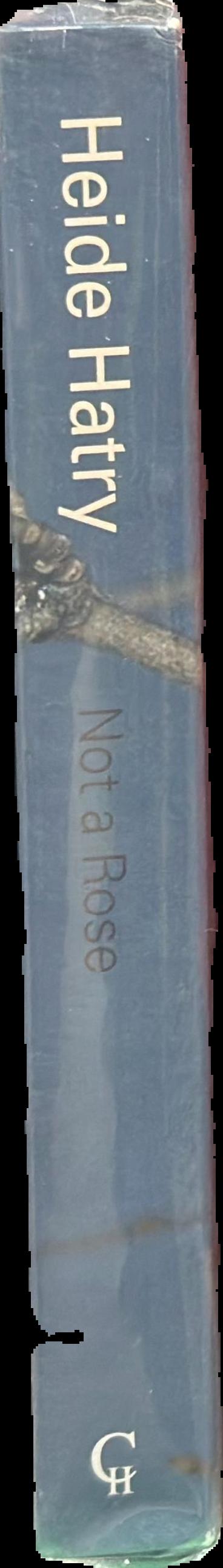 Heide Hatry : not a rose spine