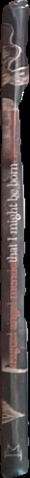 That I might be born / Chen Zhen, Miguel Angel Mendo spine