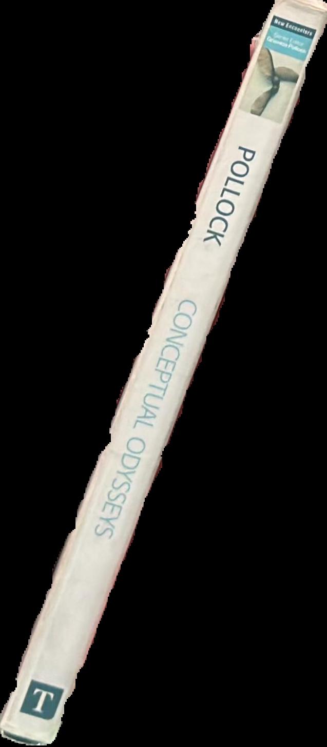 Conceptual odysseys : passages to cultural analysis spine