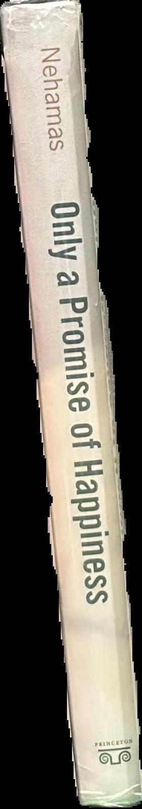 Only a promise of happiness : the place of beauty in a world of art spine