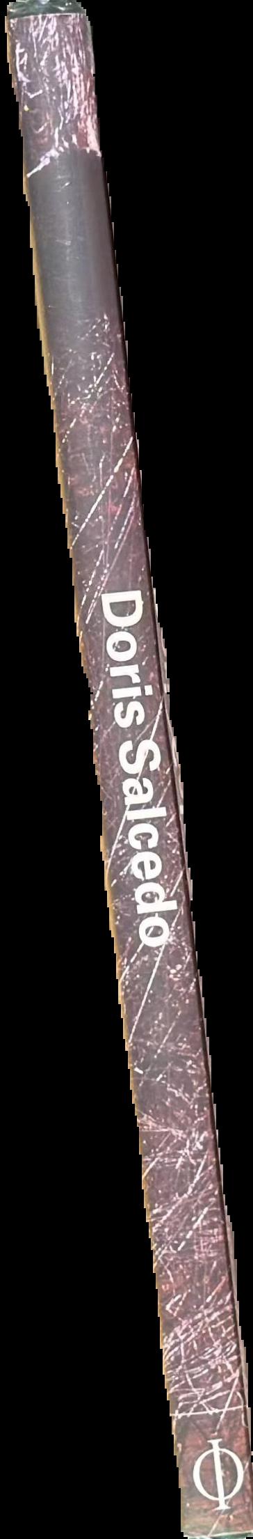 Doris Salcedo spine
