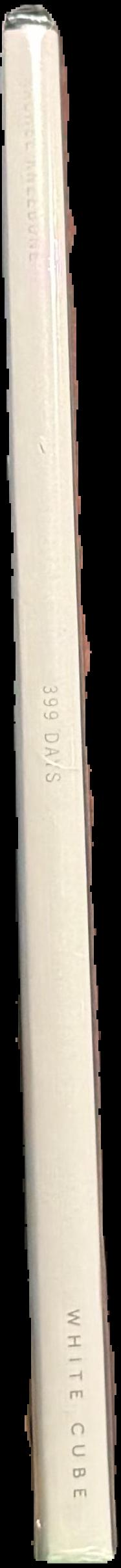 Rachel Kneebone : 399 days spine