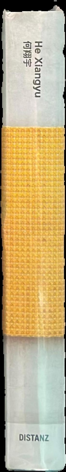 He Xiangyu spine