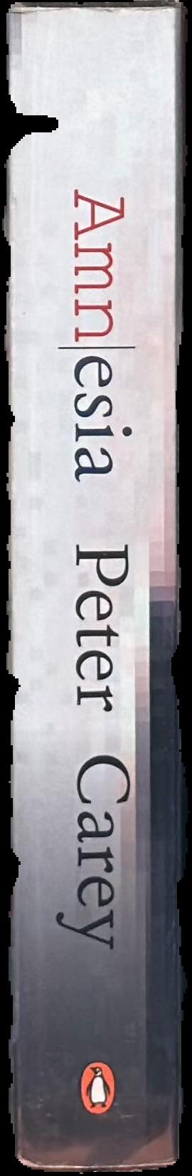 Amnesia / Peter Carey spine