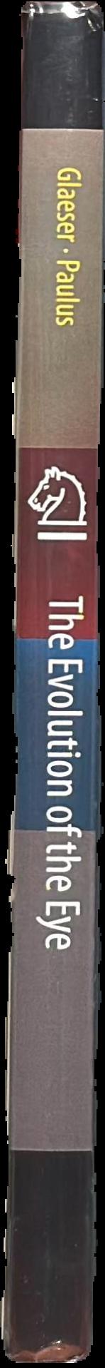 The evolution of the eye spine