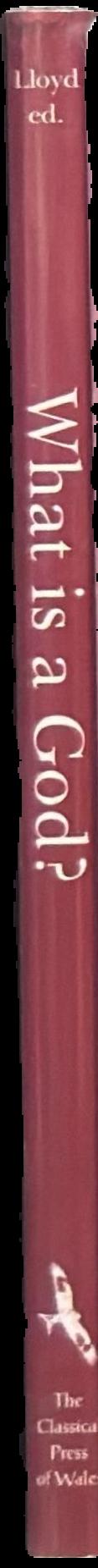 What is a god? : studies in the nature of Greek divinity / editor, Alan B. Lloyd spine