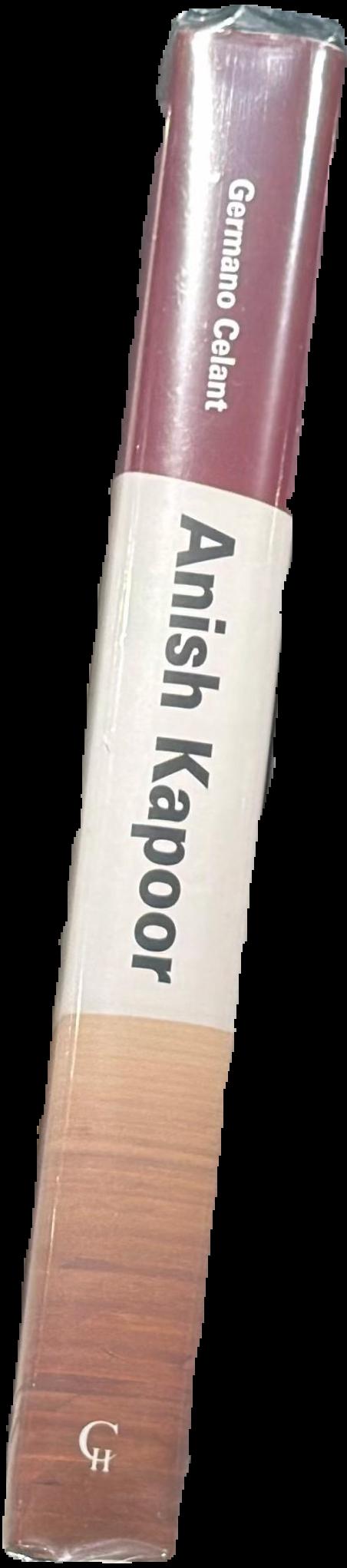 Anish Kapoor spine
