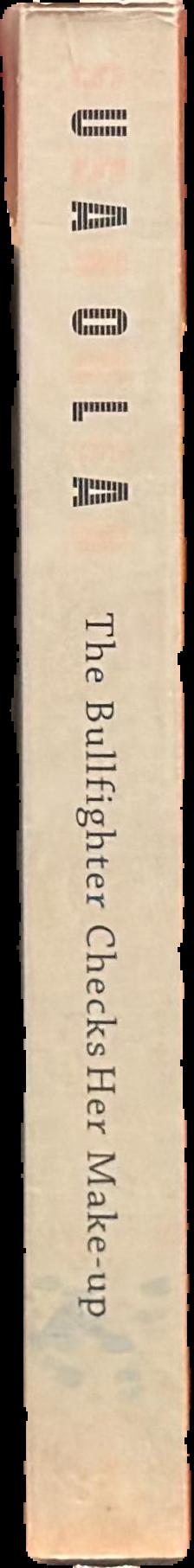 The bullfighter checks her makeup : encounters with clowns, kings, singers and surfers - not to mention a dog spine