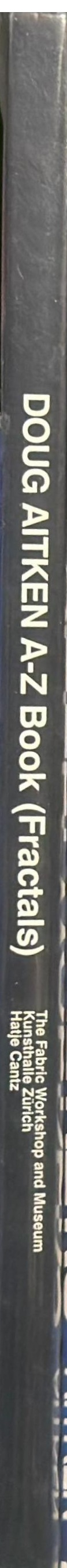 Doug Aitken : A-Z book (fractals) spine