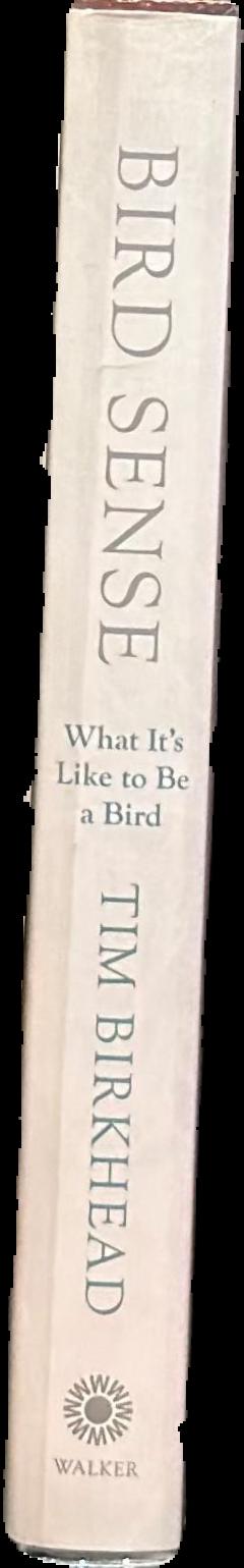 Bird sense : what it's like to be a bird spine