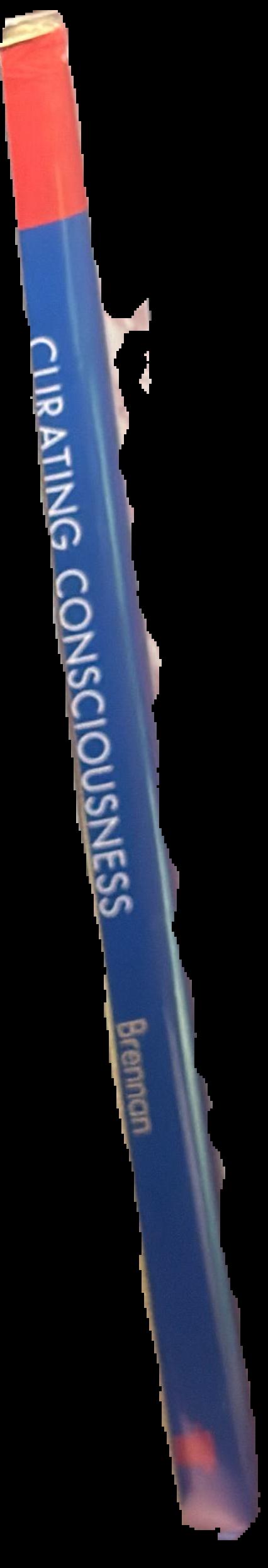 Curating consciousness : mysticism and the modern museum spine