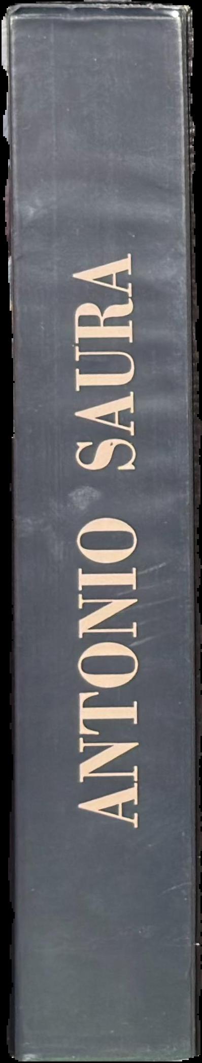 Antonio Saura spine