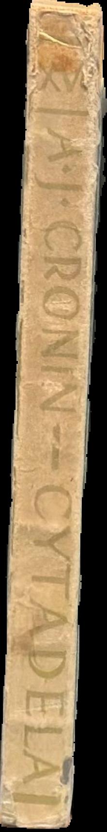 Cytadela spine