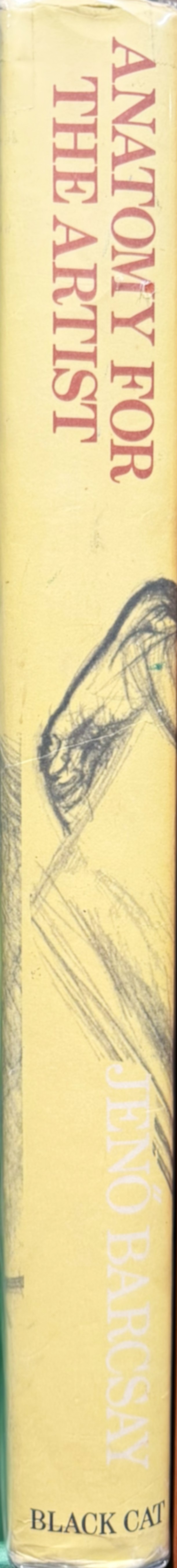 Anatomy for the artist spine