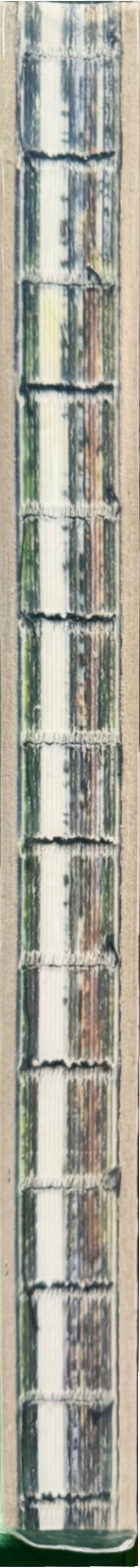 Alfredo Jaar : the garden of good and evil spine