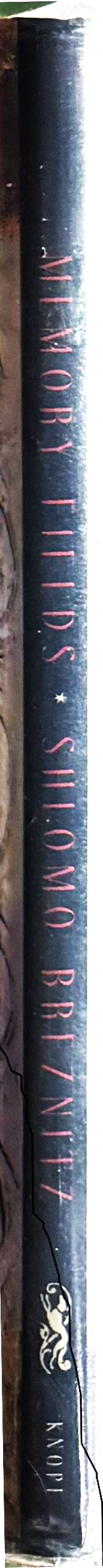 Memory fields spine