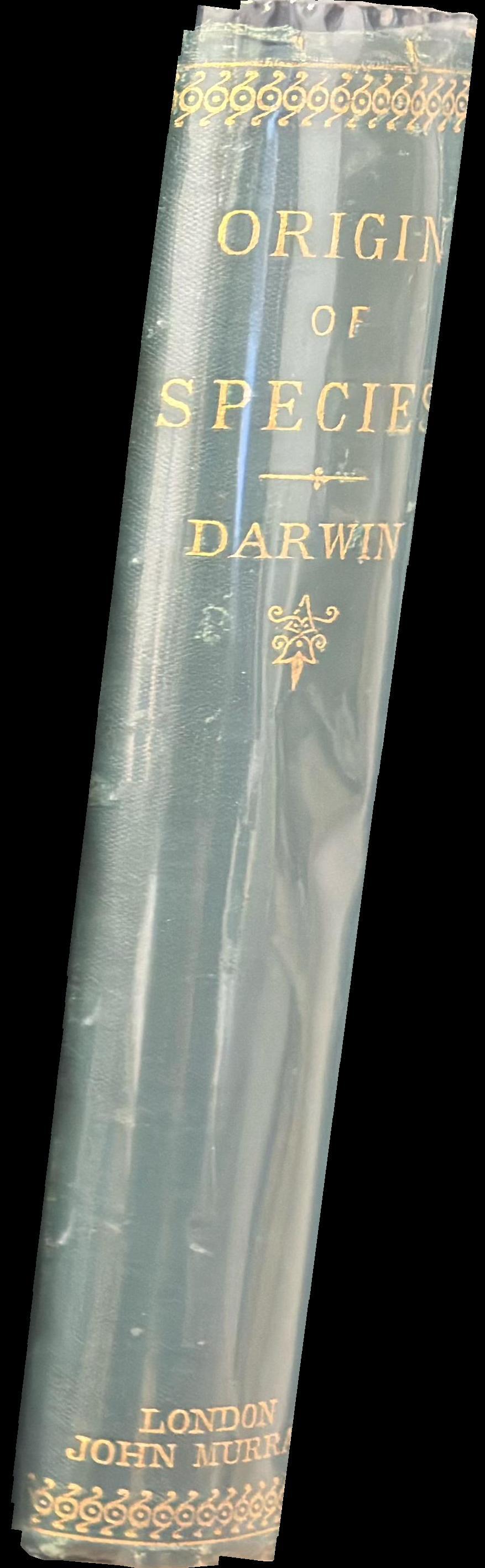 The origin of species by means of natural selection spine