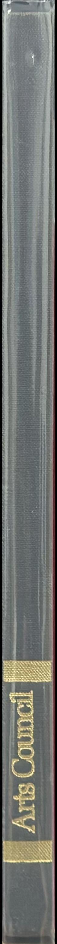 Outsiders : an art without precedent or tradition spine