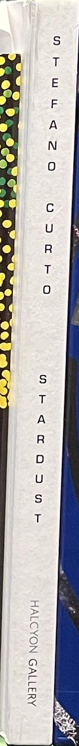 Stardust / Stefano Curto spine